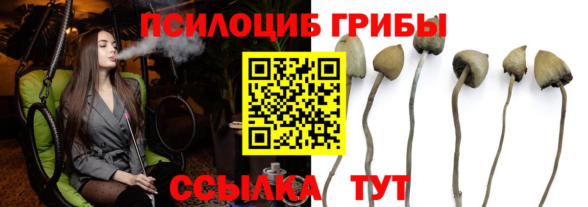 Галлюциногенные грибы Psilocybe  Псилоцибиновые грибы прущие грибы  Волжский  Вход с VPN 