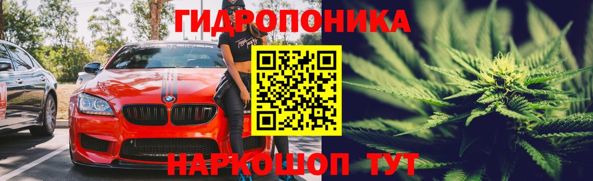 Бошки Шишки ГИДРОПОН  Бошки Шишки White Widow  Волжский  Вход с VPN  Бошки марихуана VHQ 
